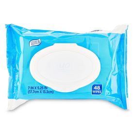 Equate Fresh Scent Flushable Wipes, 48 Count - Equate
