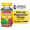 Nature Made High Absorption Magnesium Citrate Gummies;  200 mg;  64 Count - Nature Made