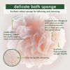 EcoTools Delicate Bath Sponge Recycled Netting for Adults, 1 Count - EcoTools